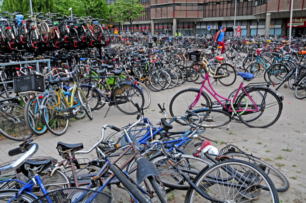 Fietsenstalling op het Smakkelaarsveld. Foto: HUA (juni 2013)